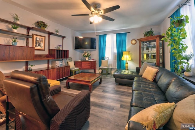 living room with ceiling fan and wood-type flooring