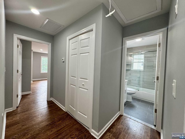 hall with dark wood-type flooring