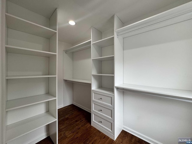 spacious closet featuring dark hardwood / wood-style floors