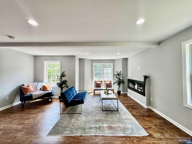 living room with dark hardwood / wood-style flooring and a wealth of natural light