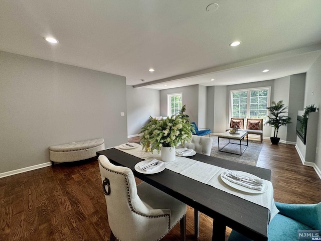 dining room featuring dark wood-type flooring