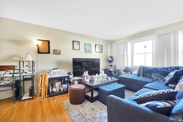 living room featuring hardwood / wood-style flooring