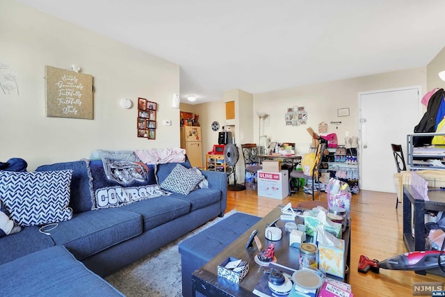 living room featuring hardwood / wood-style flooring