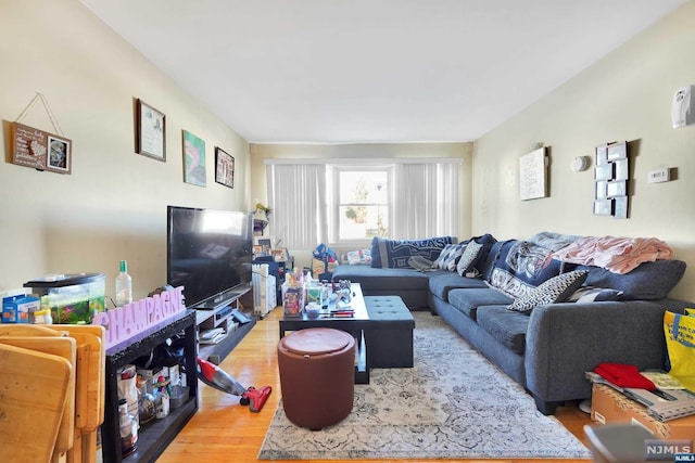 living room featuring hardwood / wood-style floors