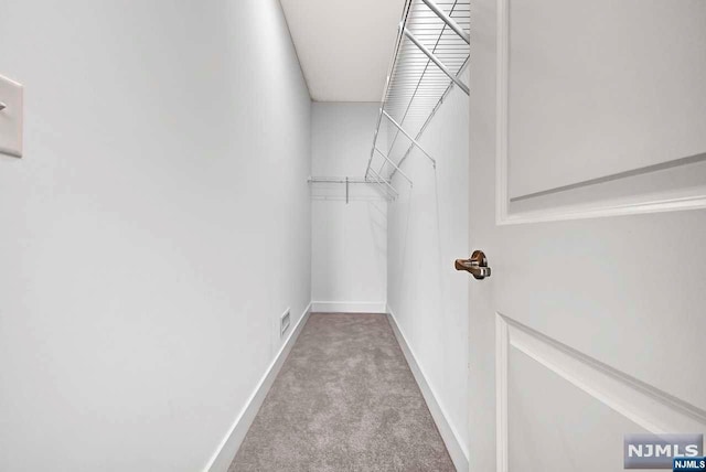 walk in closet with light colored carpet