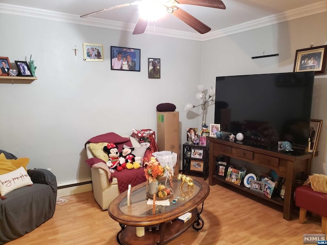 living room with crown molding and light hardwood / wood-style flooring