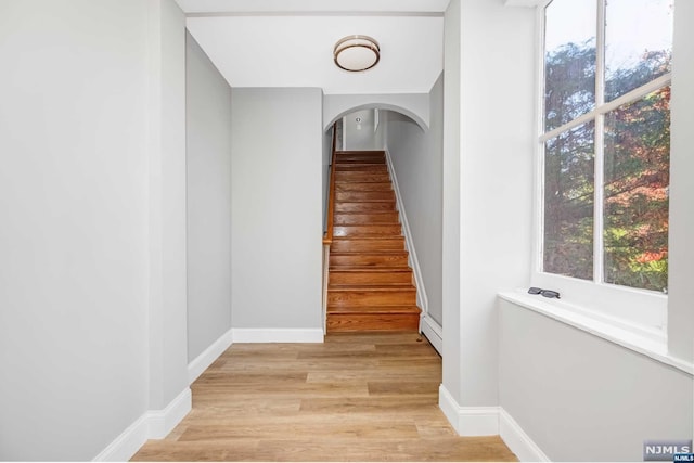 staircase featuring wood-type flooring