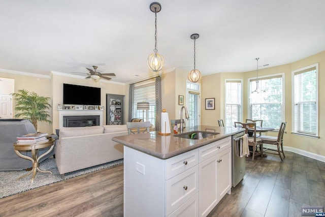 kitchen featuring pendant lighting, a kitchen island with sink, white cabinets, sink, and dark hardwood / wood-style flooring