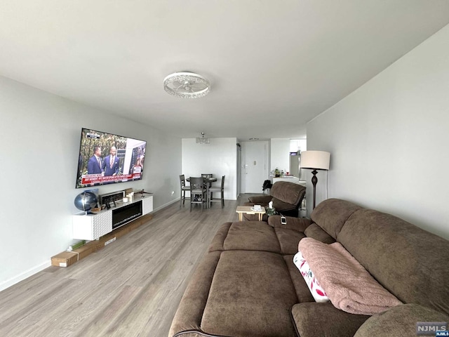 living room featuring hardwood / wood-style flooring