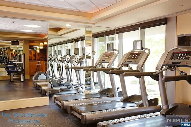 exercise room featuring a raised ceiling and a drop ceiling