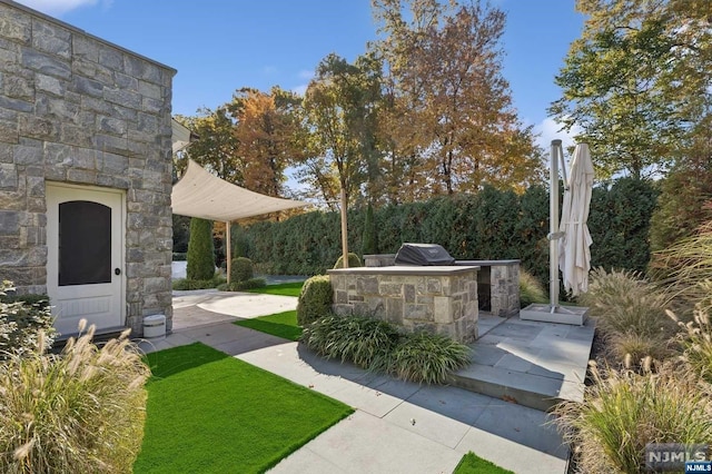 view of yard featuring an outdoor kitchen and a patio area