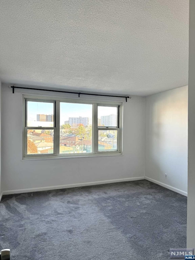 carpeted empty room with a wealth of natural light and a textured ceiling