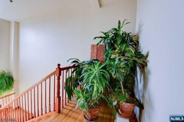 interior space with hardwood / wood-style flooring