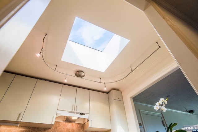 room details with a skylight and crown molding