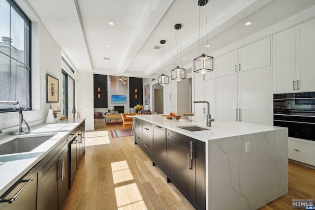 kitchen featuring pendant lighting, a healthy amount of sunlight, sink, and a kitchen island with sink