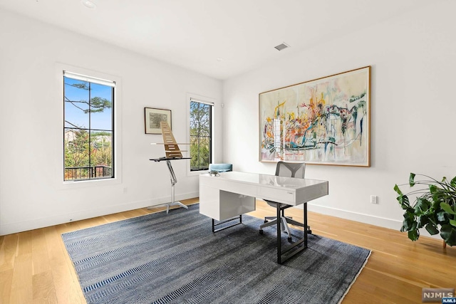 office space featuring hardwood / wood-style flooring and plenty of natural light