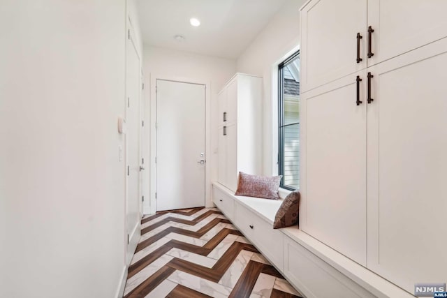 mudroom featuring light parquet floors and a healthy amount of sunlight