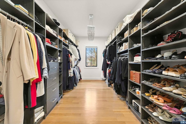 spacious closet featuring light hardwood / wood-style floors