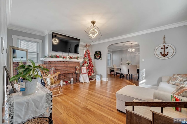 living room with a chandelier, hardwood / wood-style floors, and crown molding