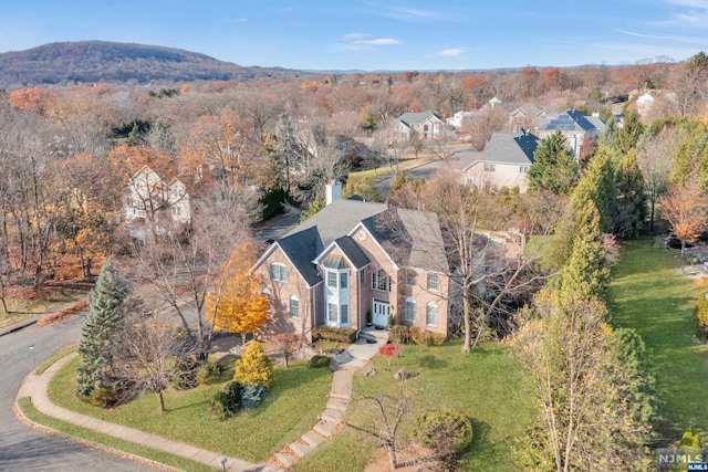 birds eye view of property featuring a mountain view