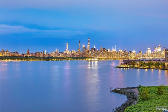 water view with a view of city lights