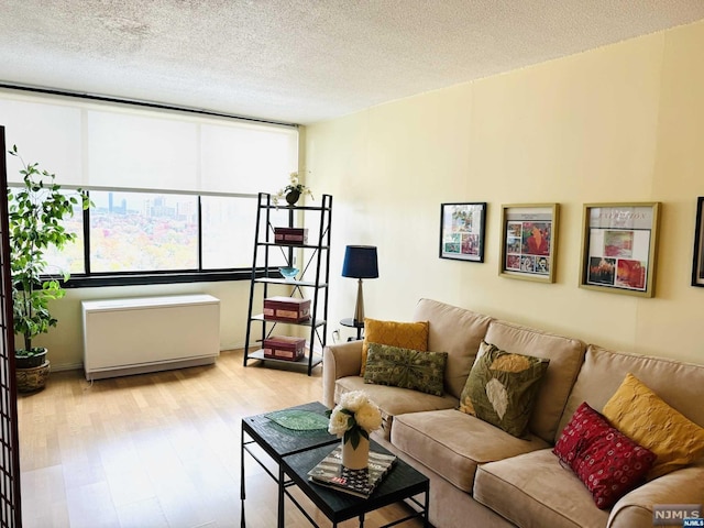 living room featuring a textured ceiling and light hardwood / wood-style floors