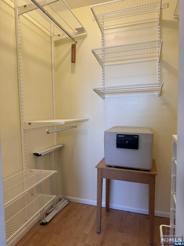 spacious closet featuring wood-type flooring