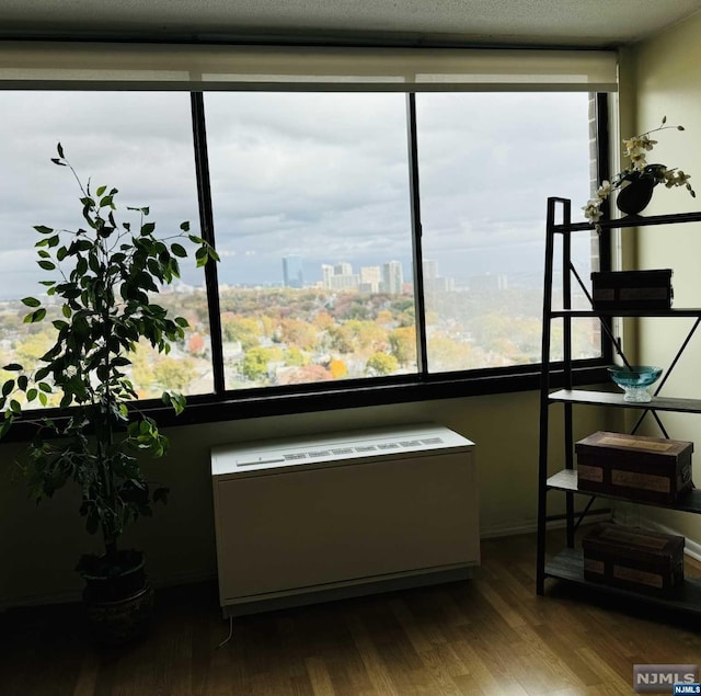 interior space featuring radiator heating unit, a textured ceiling, and hardwood / wood-style flooring