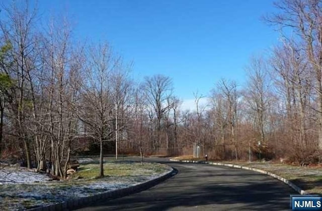 30 Tulip Tree Ln, Alpine NJ, 07620 land for sale