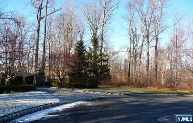 Listing photo 3 for 30 Tulip Tree Ln, Alpine NJ 07620