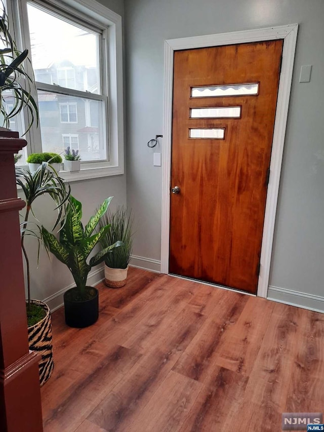 foyer entrance with hardwood / wood-style floors