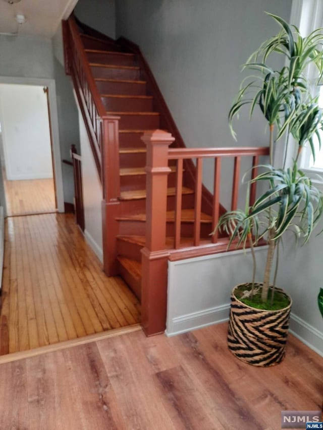 stairway with hardwood / wood-style floors