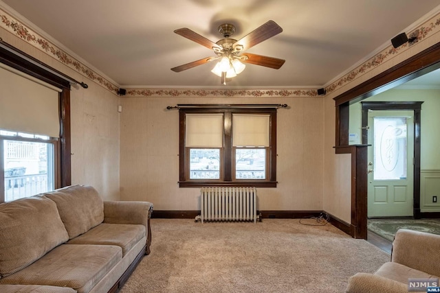 carpeted living room with plenty of natural light, radiator, crown molding, and ceiling fan