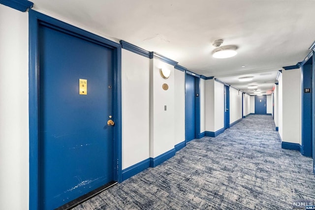 hall featuring carpet floors and ornamental molding