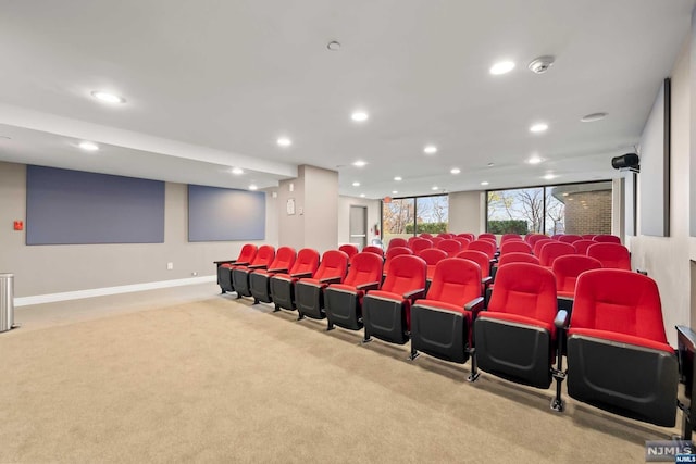 view of carpeted cinema room