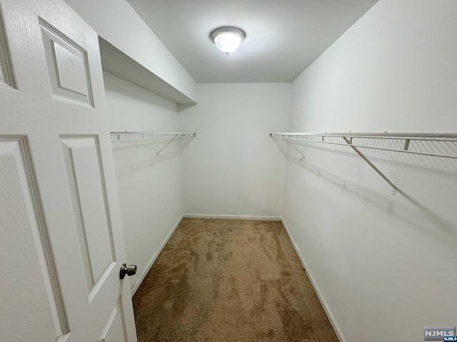 spacious closet featuring light colored carpet