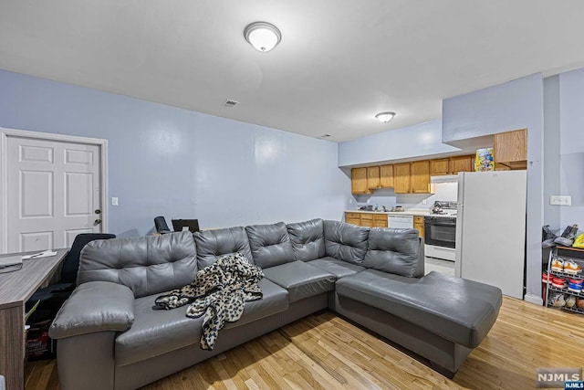 living room featuring light hardwood / wood-style floors