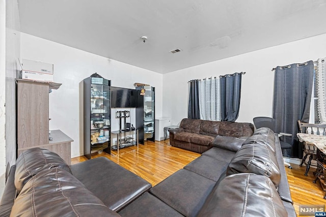 living room featuring wood-type flooring