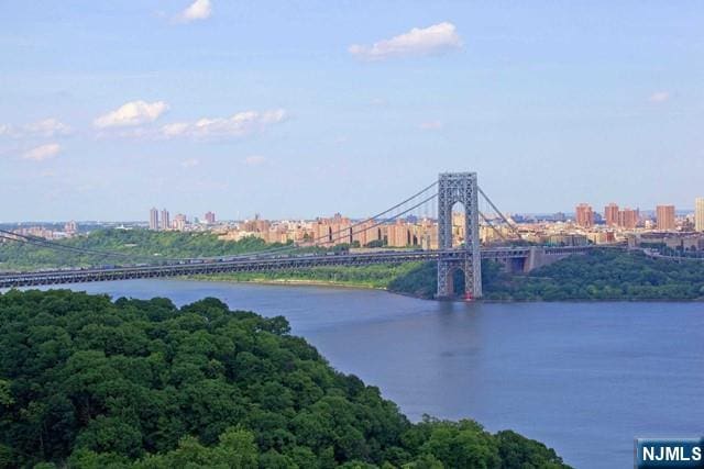 property view of water featuring a view of city