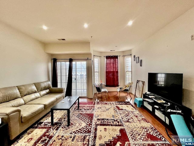 living room with wood-type flooring