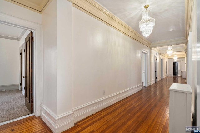 corridor with dark hardwood / wood-style flooring, ornamental molding, and an inviting chandelier