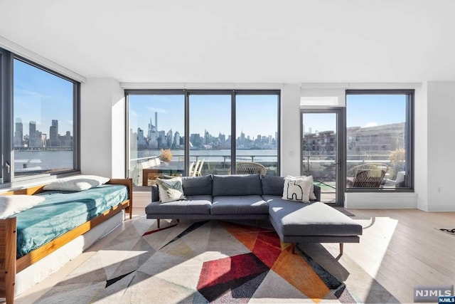 interior space with light hardwood / wood-style floors and a wall of windows