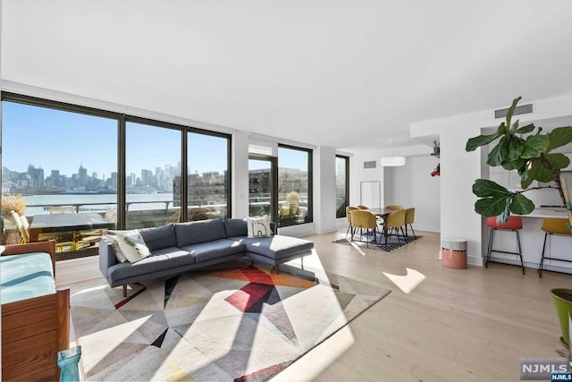 living room with light wood-type flooring and a wall of windows