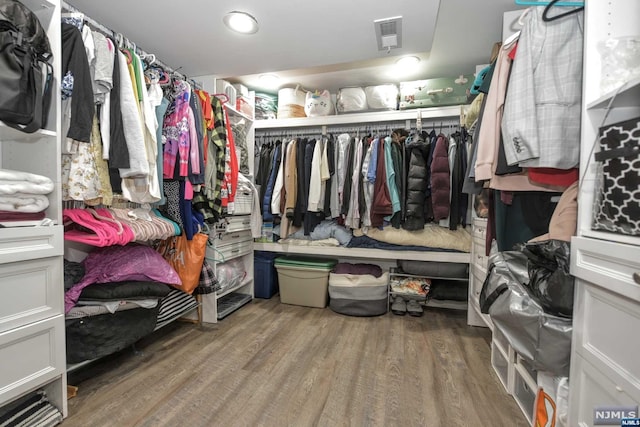 walk in closet featuring wood-type flooring