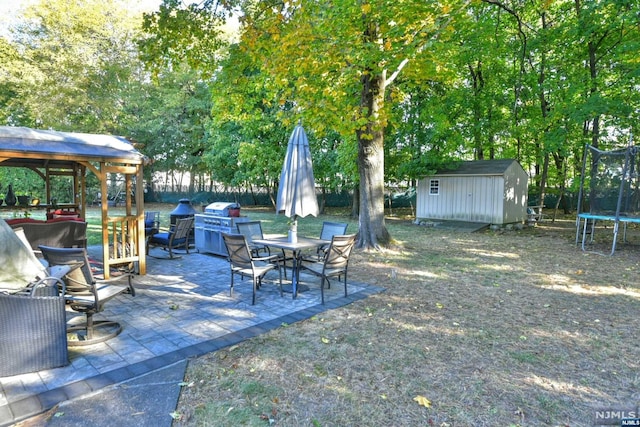 view of yard with a storage unit, a patio area, and a trampoline