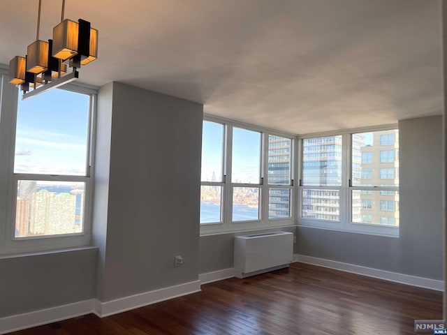 interior space featuring dark hardwood / wood-style flooring and a wealth of natural light