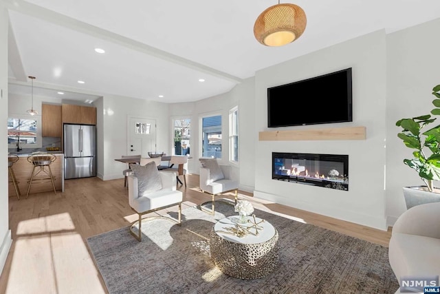 living room featuring light wood-type flooring