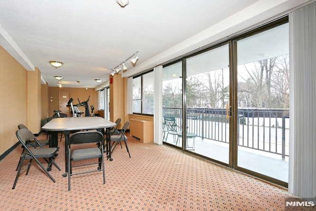 dining space featuring light carpet