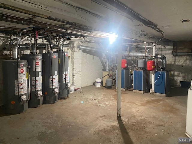 basement with gas water heater