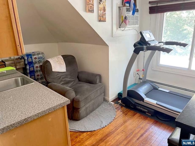 exercise room featuring light wood-type flooring and sink